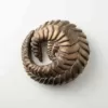 SLEEPING PANGOLIN BRONZE SCULPTURE 3